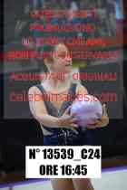 13539_C24