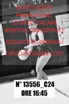 13556_C24