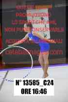 13585_C24