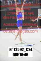 13592_C24