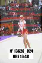 13628_C24