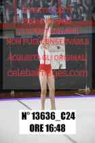 13636_C24