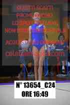 13654_C24