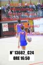 13682_C24