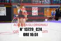 13729_C24