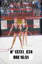 13731_C24
