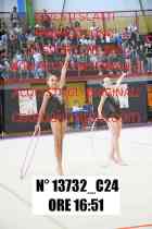 13732_C24