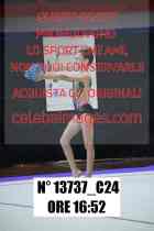 13737_C24