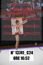 13741_C24
