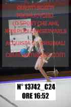 13742_C24
