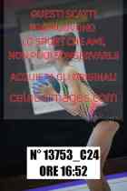 13753_C24