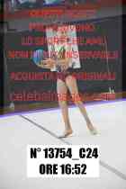 13754_C24