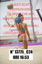13775_C24