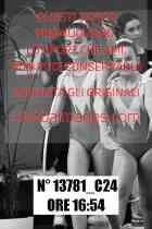 13781_C24