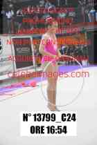 13799_C24