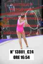13801_C24
