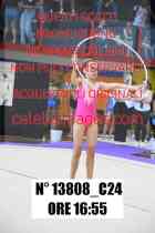 13808_C24