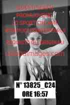 13825_C24
