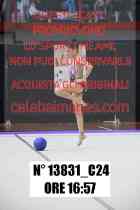 13831_C24