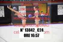13842_C24