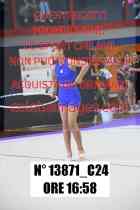 13871_C24