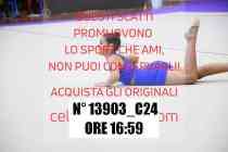 13903_C24