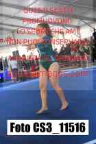 CS3_11516-
