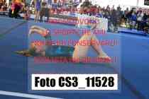 CS3_11528-