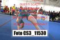 CS3_11530-