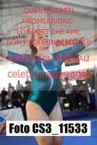 CS3_11533-