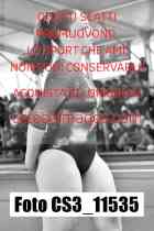 CS3_11535-