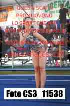 CS3_11538-
