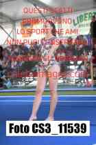 CS3_11539-