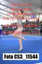 CS3_11544-