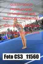 CS3_11560-
