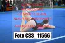 CS3_11566-