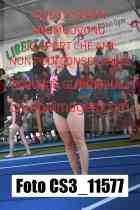 CS3_11577-