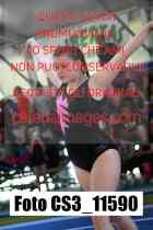 CS3_11590-