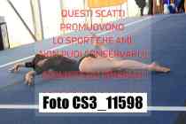 CS3_11598-