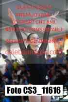 CS3_11616-