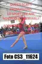 CS3_11624-