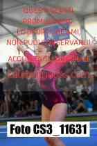 CS3_11631-