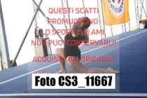 CS3_11667-