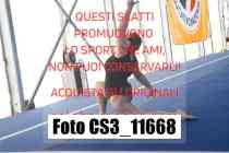 CS3_11668-