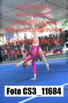 CS3_11684-