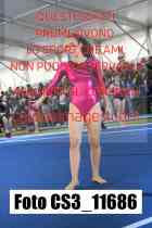 CS3_11686-