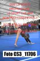 CS3_11706-
