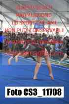 CS3_11708-