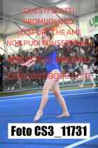 CS3_11731-