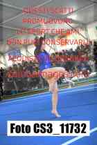 CS3_11732-